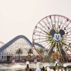 When Will Disneyland Renew Annual Passes?