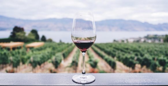 Scientists Are Studying The Effects Of Wine After One Year Of Space Travel