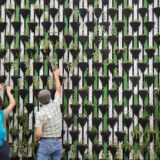 Making The Most Of Your Space With Vertical Gardening