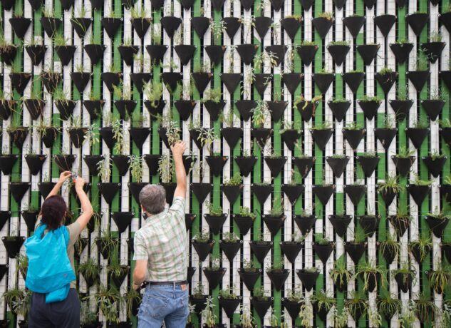 Making The Most Of Your Space With Vertical Gardening