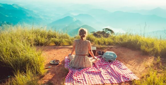 picnic