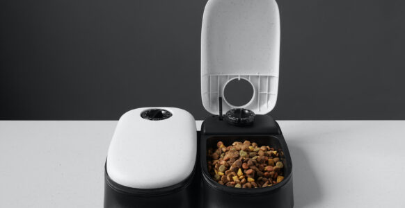 automatic pet feeder