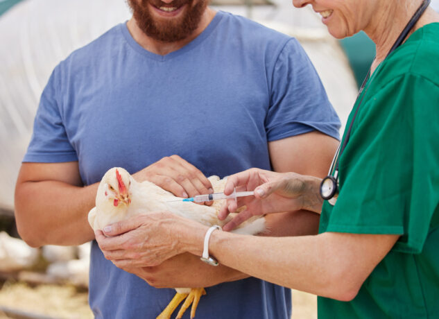 Protect Your Pets: CDC Warns of Bird Flu Risks – Vaccinate Now!