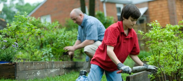 Grow Your Own Vegetables with These Easy DIY Gardening Tips
