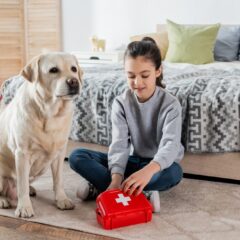What to Include in Your Pet First Aid Kit?