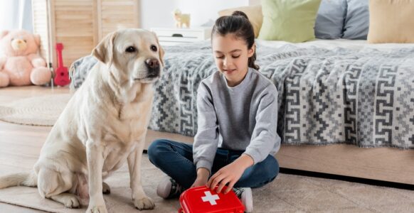 What to Include in Your Pet First Aid Kit?