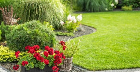 DIY Raised Garden Beds for Beginners