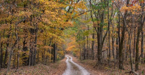 Discover the Natchez Trace Parkway