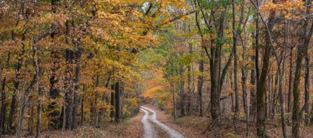 Discover the Natchez Trace Parkway