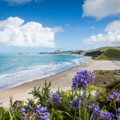 The World’s Most Stunning Beach Is Just Off Cozumel, Mexico