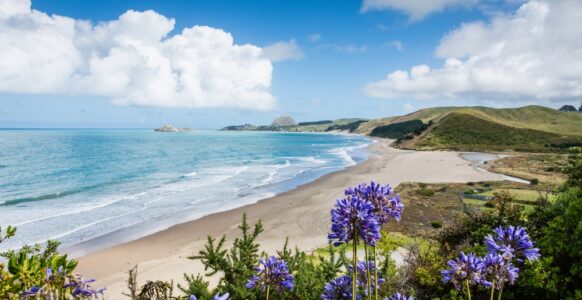 The World’s Most Stunning Beach Is Just Off Cozumel, Mexico