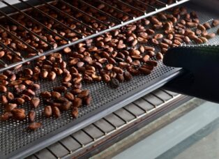 The Surprising Journey of Chocolate From Bean to Bar