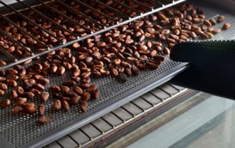 The Surprising Journey of Chocolate From Bean to Bar