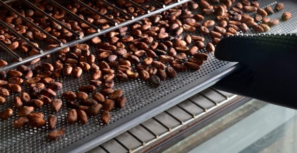 The Surprising Journey of Chocolate From Bean to Bar