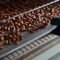 The Surprising Journey of Chocolate From Bean to Bar