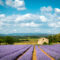 July Journeys That Turn Summer Into an Adventure