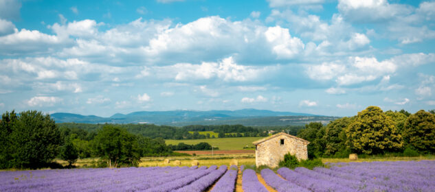 July Journeys That Turn Summer Into an Adventure
