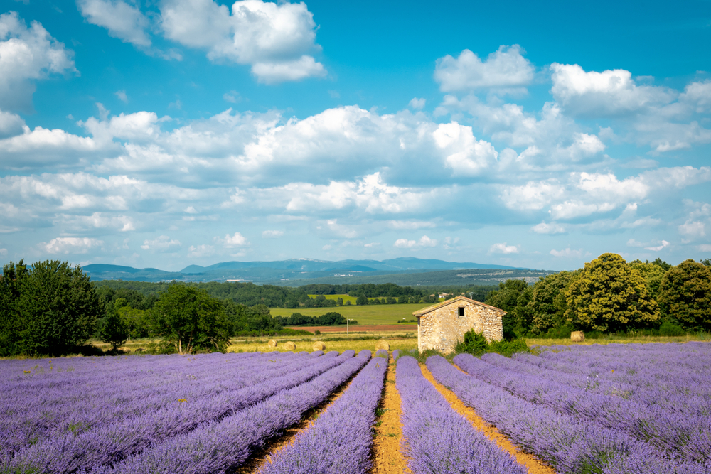 July Journeys That Turn Summer Into an Adventure