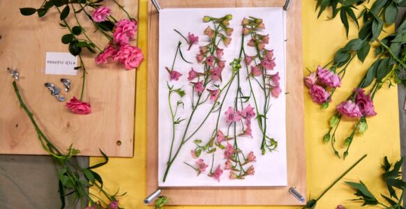 How to Press Flowers in Under 2 Minutes?