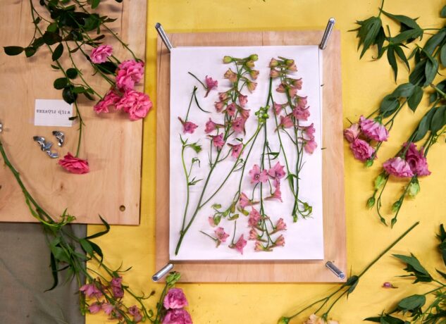 How to Press Flowers in Under 2 Minutes?