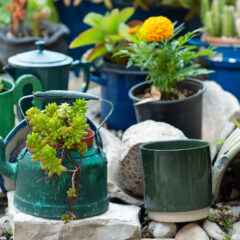 DIY Outdoor Planters That Instantly Make Your Yard Look Luxurious