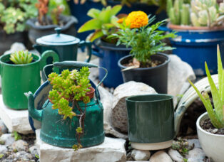 DIY Outdoor Planters That Instantly Make Your Yard Look Luxurious