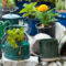 DIY Outdoor Planters That Instantly Make Your Yard Look Luxurious