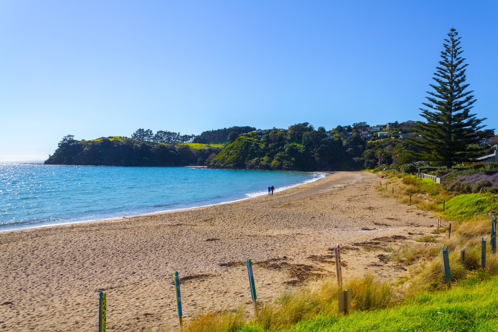Little Palm Beach, New Zealand
