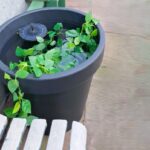 How to Build a DIY Self-Watering Planter Box?
