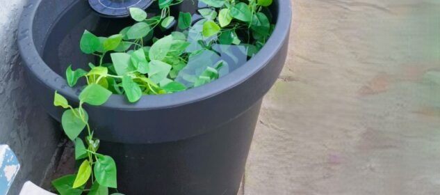 How to Build a DIY Self-Watering Planter Box?