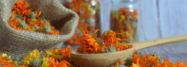 DIY Foraged Dried Flower Arrangements That Last for Years