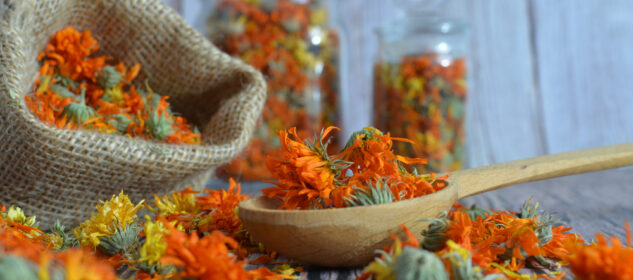 DIY Foraged Dried Flower Arrangements That Last for Years