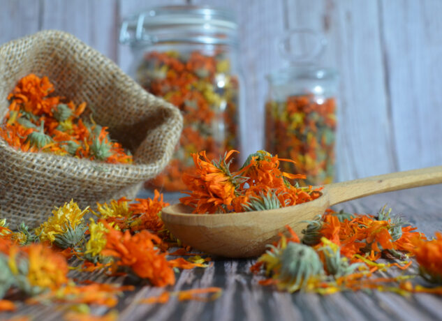 DIY Foraged Dried Flower Arrangements That Last for Years