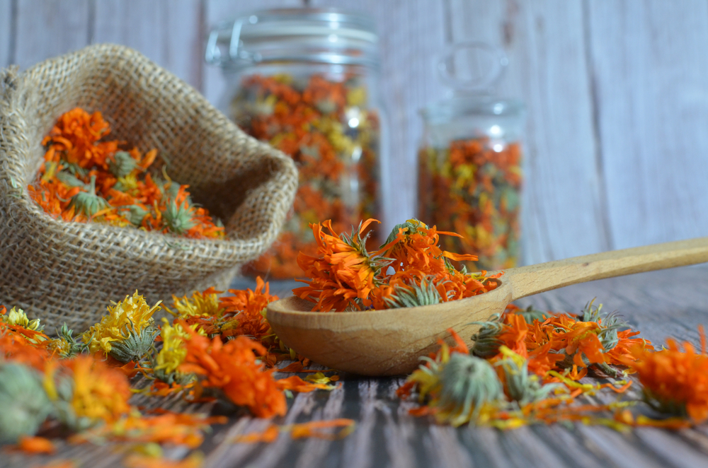 DIY Foraged Dried Flower Arrangements That Last for Years